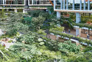 Cyber Square Landscape Garden